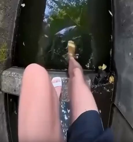 Сидела девушка грустила, качала ножкой