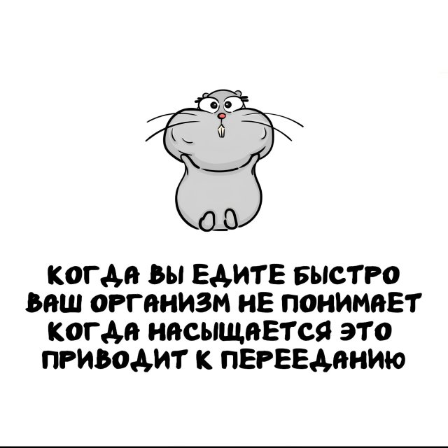 Интересные факты на все случаи жизни (15 фото)