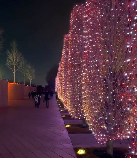 Парк Галицкого как всегда невероятен. Украшен потрясающе