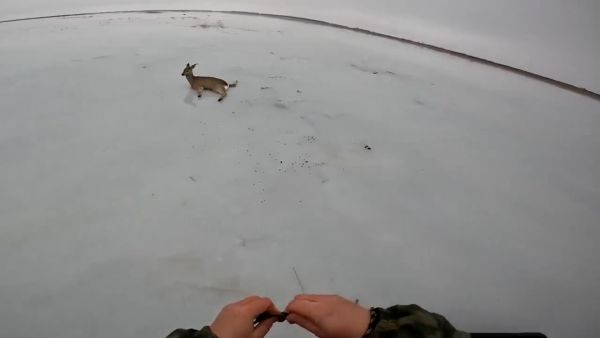 Положительный персонаж)⁠⁠