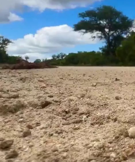 Алкаш у КБ в 9 утра⁠⁠