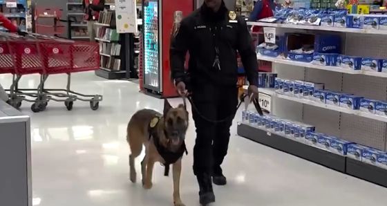 Служебный пёс К9 узнал своего напарника спустя 6 месяцев