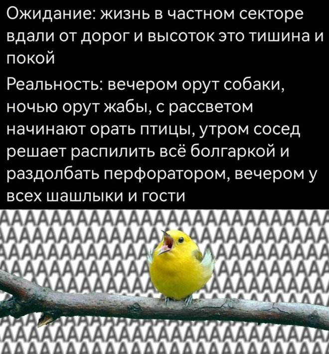 Подборка мемов