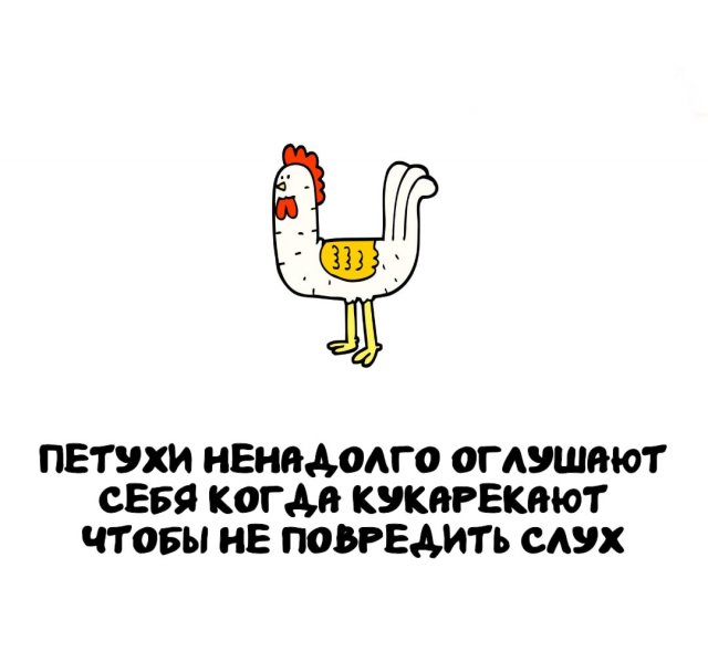 Интересные факты на все случаи жизни (15 фото)