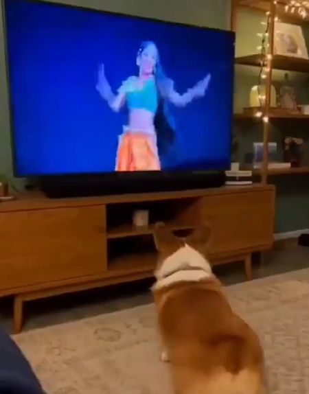 Красивый танец⁠⁠