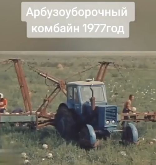 Уборка арбузов