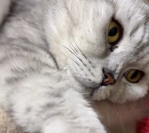 Нелегальный завод