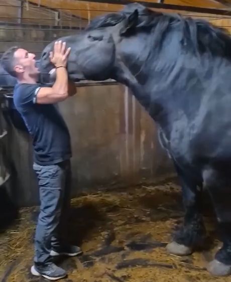 Большой друг⁠⁠