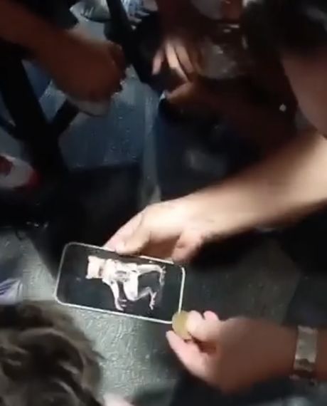 Разыграл детишек