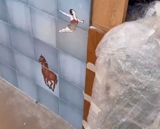 Не грубите кафельщику!