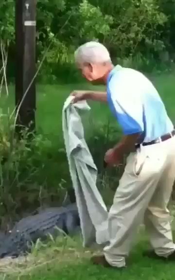 Идиот против крокодила⁠⁠