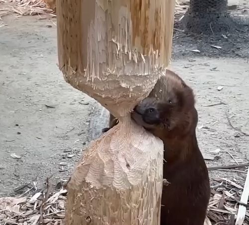 99% работы сделано, остальное подождёт до завтра⁠⁠