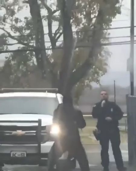 Необычный поворот события для человека, который решил померяться силами с американским полицейским