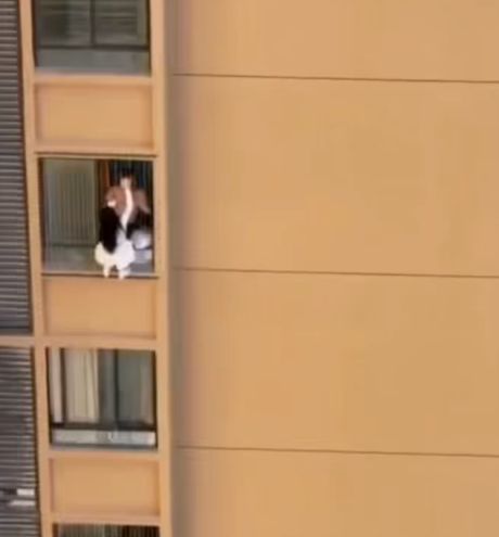 Любовница покинула квартиру по фасаду здания, скрываясь от жены возлюбленного