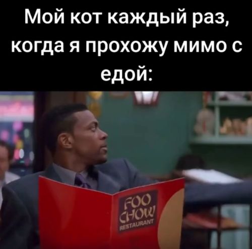 Он еще и разозлиться может⁠⁠