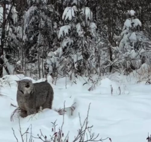 Вот и поговорили...⁠⁠