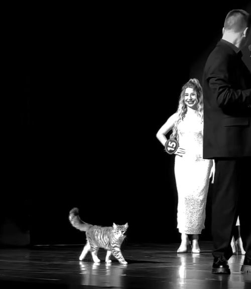 Ну очевидно же кто победительница конкурса⁠⁠