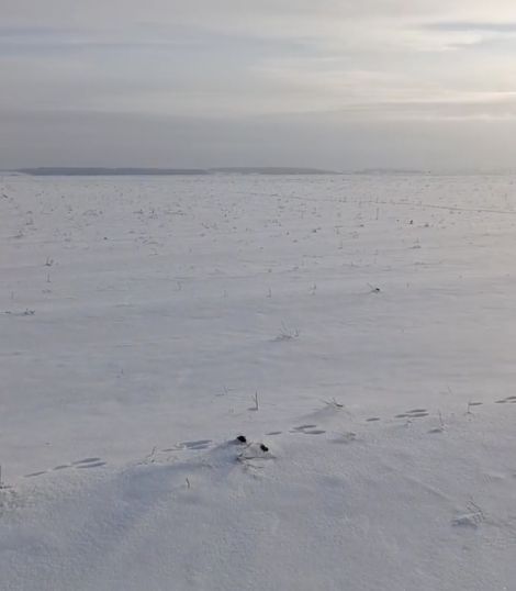 Один год в Сибири за 45 секунд