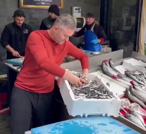 А кому семечек?