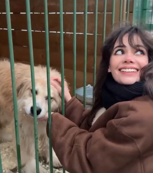 Дома ждали трое детей и кот