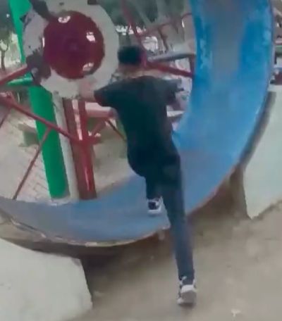 Красивое сальто хомяка