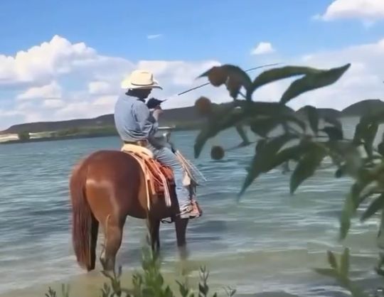 Мы с самого начала знали, чем это закончится⁠⁠