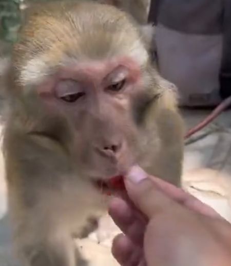 Помедленнее