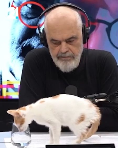 Албанский премьер-министр Эди Рама