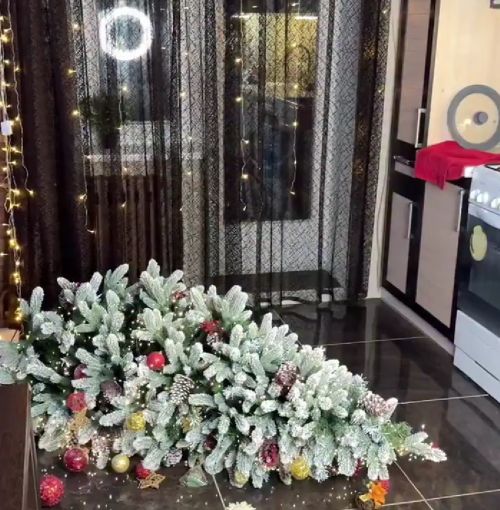 Ну неужели тебе не понятно: она ж сама упала