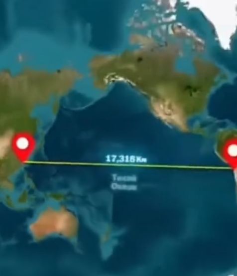 Срочно вызывайте Лозу!