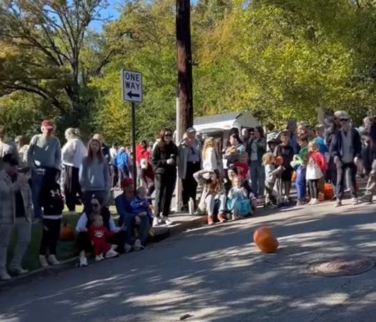 Тыковкой в яблочко⁠⁠