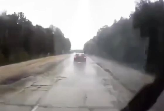 Нашли где справит нужду