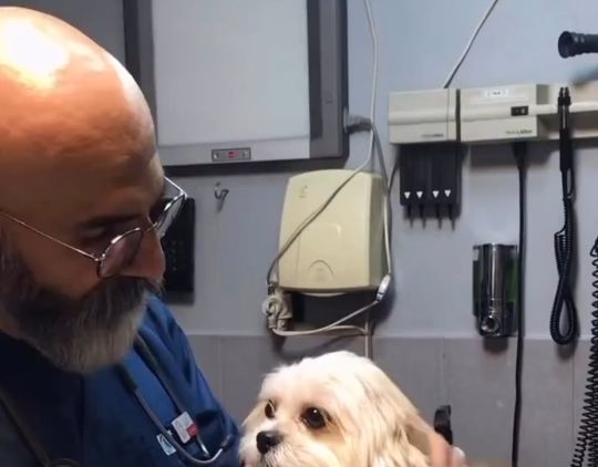 С мамой смелее