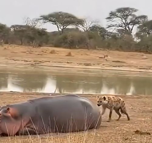 Неудачная попытка