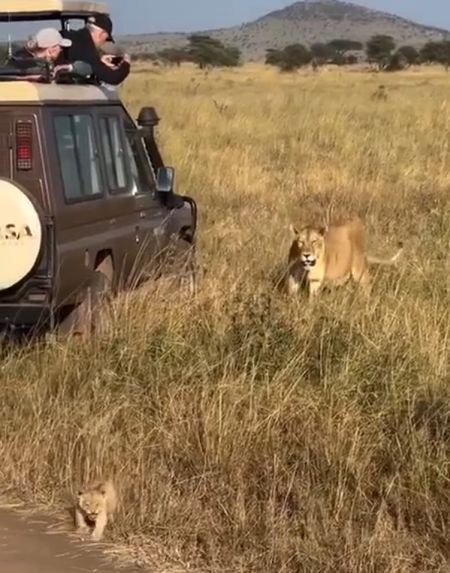 Если бы не мама, я бы вас всех тут!.. Грозный тип)⁠⁠
