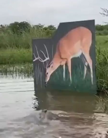 Кто-то остался без обеда