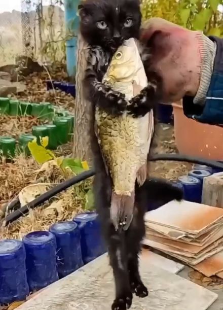 Улов не отдам⁠⁠