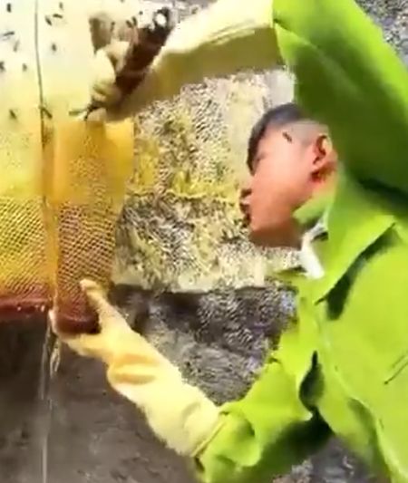 Любишь медок — люби и холодок