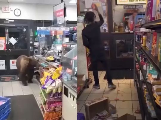 Большая разница