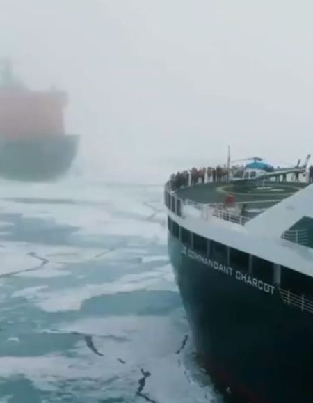 Эпичная встреча двух гигантов в тумане