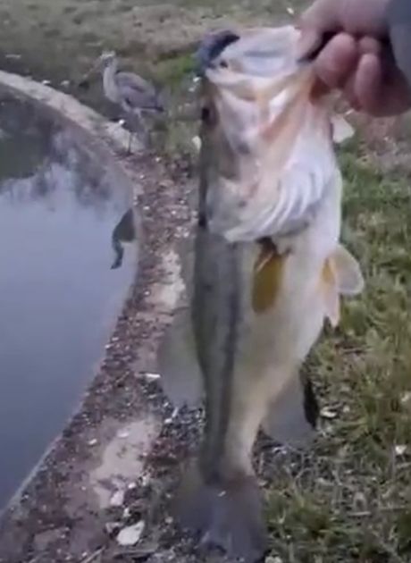 Топ неожиданных концовок