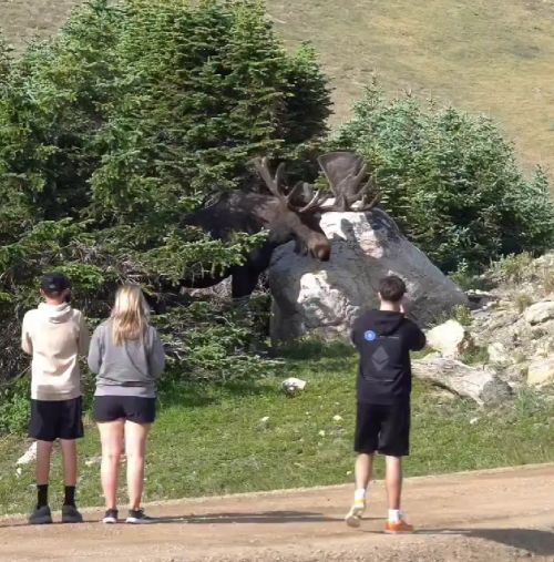 Мы не ищем лёгких путей!⁠⁠