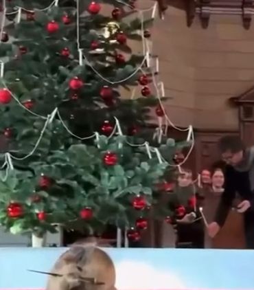 Как зажигают рождественские елки в Швейцарии