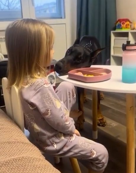 Профессиональный попрошайка