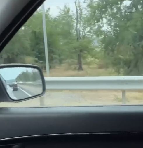 Наказание обочечников⁠⁠