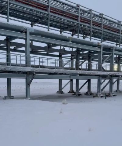 Песец играется. Снято в вахтовом поселке Сабетта на Ямале⁠⁠