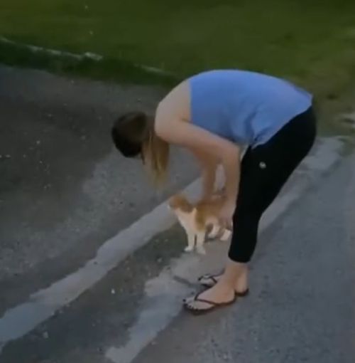 Пара поспорила, что если кошка проследует за ними до самой квартиры то они оставят её себе