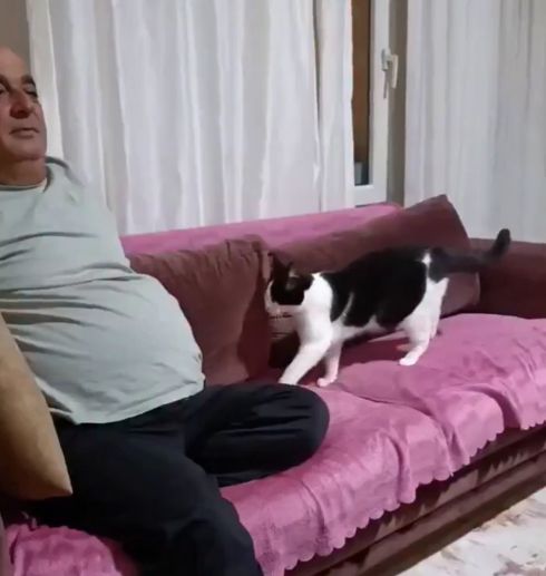 Ещё один папа который не хотел кота. Спелись