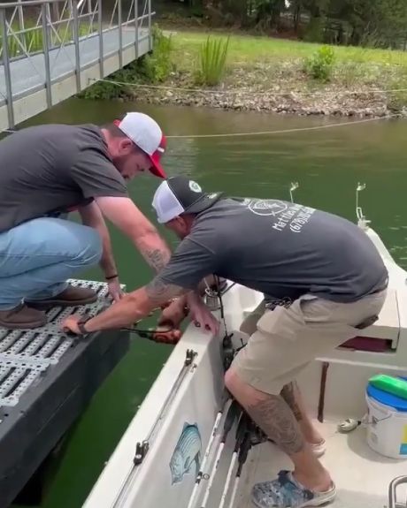 Тут какая-то дальнекапитанская трудность происходит