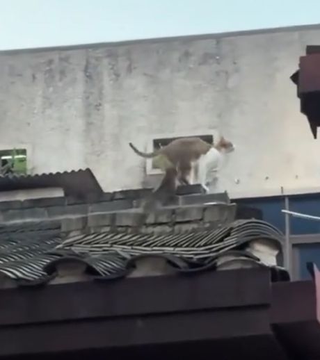 Совершен еще один шаг во взрослую жизнь